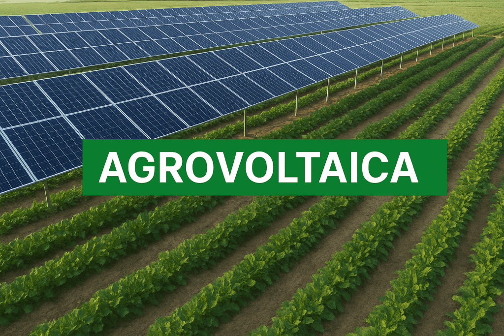 Agrovoltaica en España 2025: cultivos y energía solar juntos